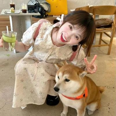 逝去的情人节